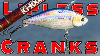 Why aren’t my lipless crankbaits and small soft plastics producing bass bites this fall?