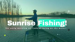 What bait should I use in 80-degree weather during a sunrise with wooded waters in a creek for bass?