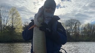 FishGPT