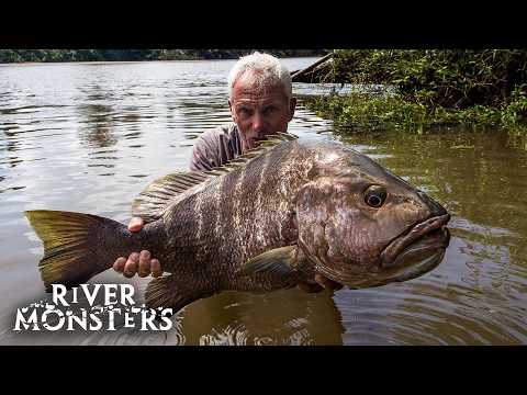 What is the biggest fish ever caught?